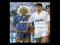 /album/fotogaleria/imagenes-graciosas-3-imagengrande-jpg/